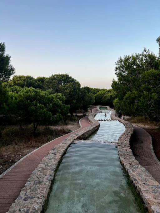 Apartament Viajeros Vinamar VII La Mata  Exterior photo